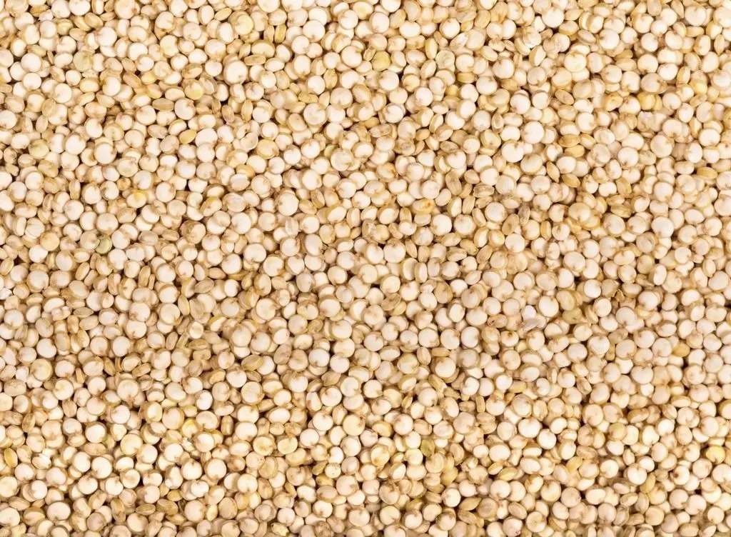 Quinoa